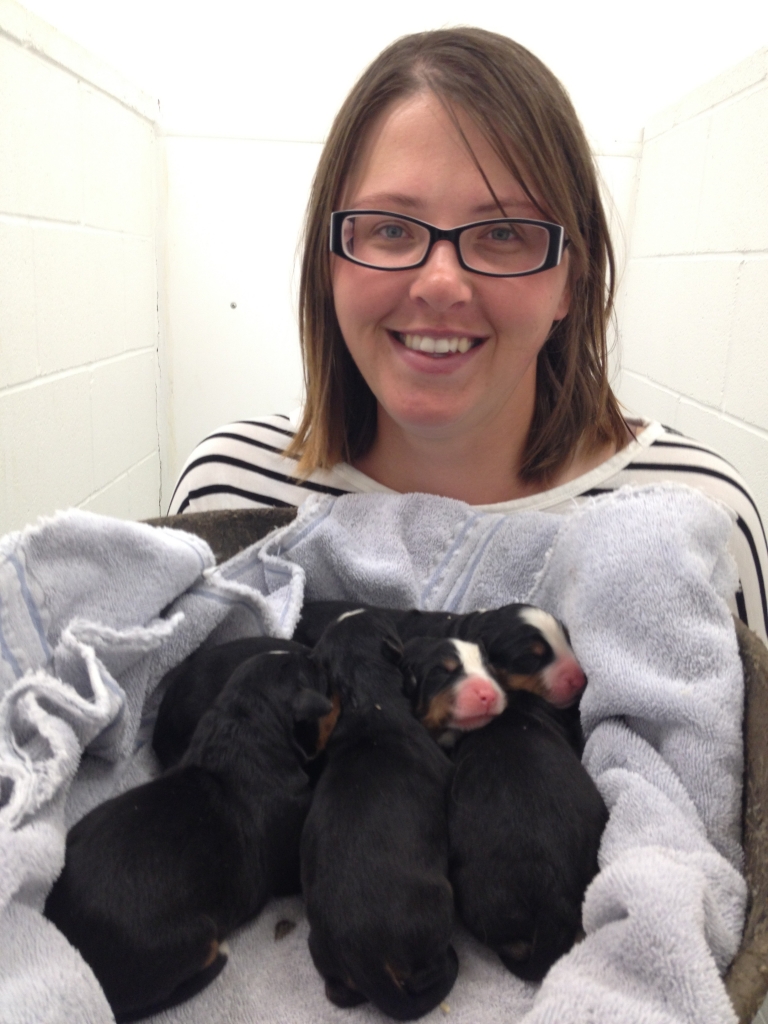 Staff Member Holding a Litter of Puppies