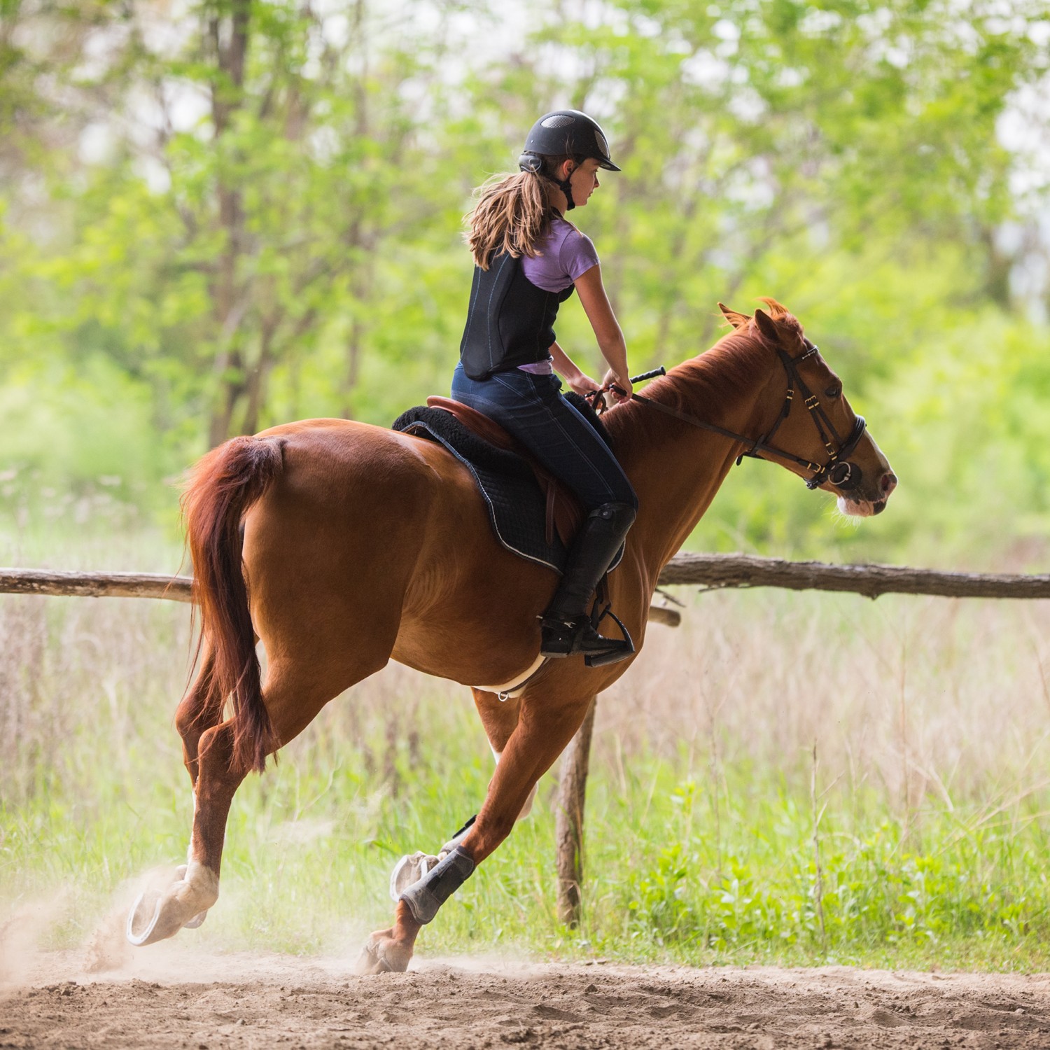 Girl Riding a Horse